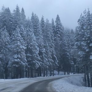 Meet your Posher, Ssophie